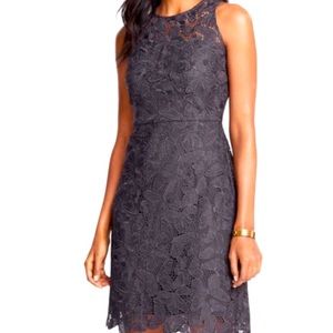 NWT Ann Taylor Lace Gray Shift Dress size 10